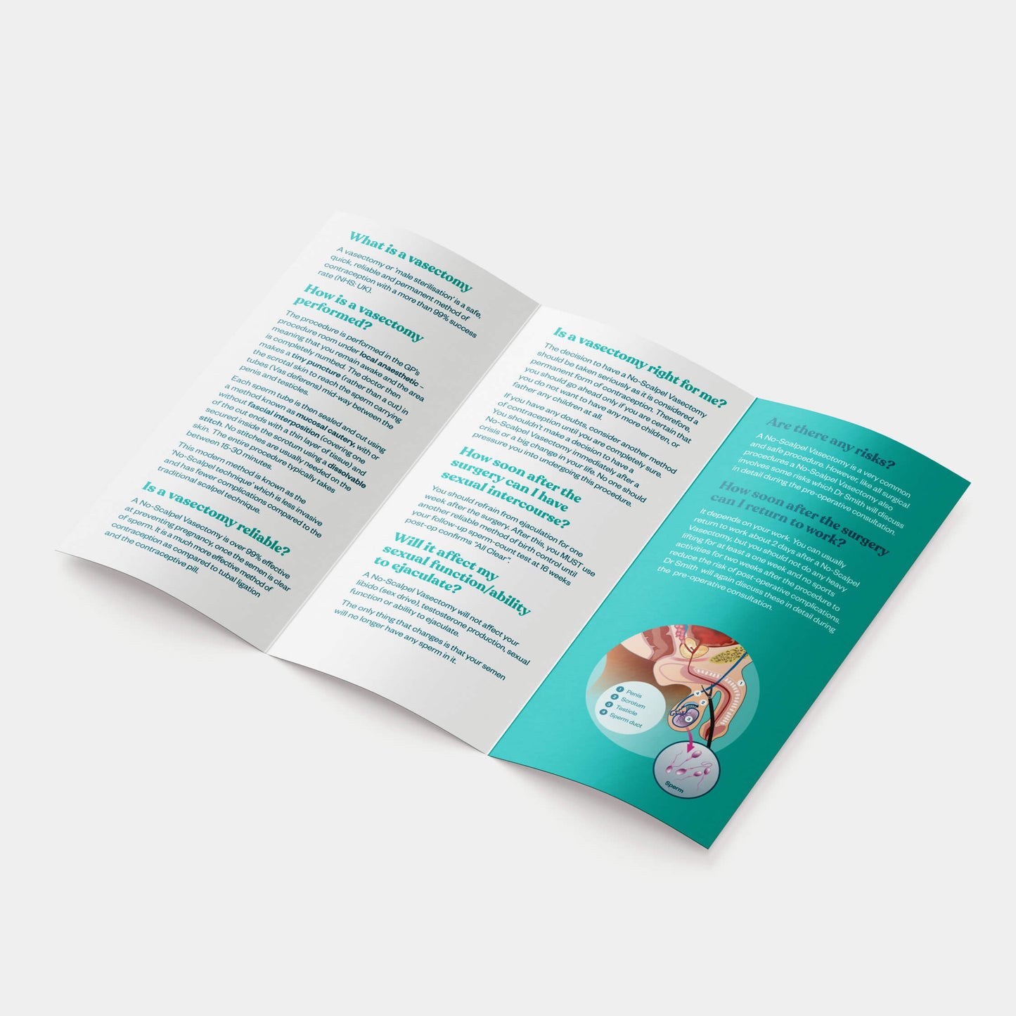 Vasectomy Brochure - Elizabeth
